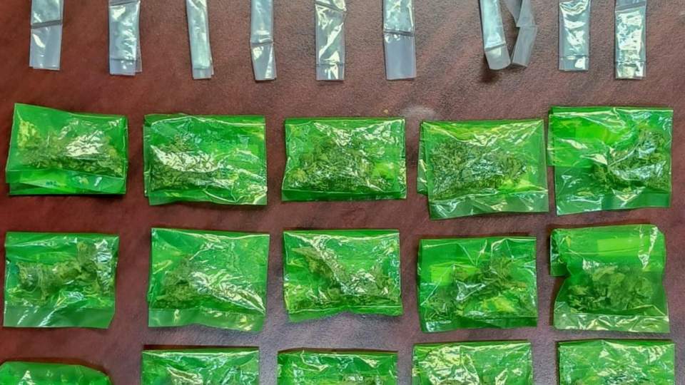 Gobierno de Sonora asegura presunto narcótico durante operativos en Hermosillo